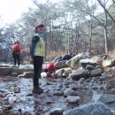 올리브2 이미지