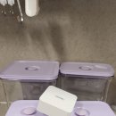 포라인