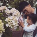 (주)삼진야드 | D+481) 부산나들이 / 부산갈만한 곳 / 태종대 / 수국축제 / 수국축제 전 꽃구경 / 2016 태종대 수국축제...