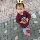 꿈꾸는 하마 네이버블로그