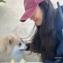 플러스82 계양점