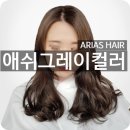 아리아스헤어 이미지