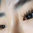 세르크 뷰티라인 네이버블로그