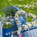 100세의료기 이미지