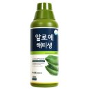 녹십초알로에 - 삼척시 | 녹십초알로에