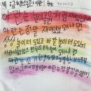 아란원