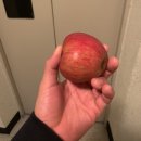 윈 복싱 클래스 | 모아이짐 노원점/ 오전 반+ 오후 반 주짓수 클래스~!!/ 다이어트 최고의 운동 “주짓수”/ 선착순...