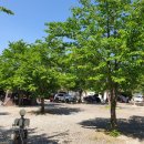 청도 힐링오토캠핑장 이미지