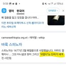 스피노자 인장 실링 스탬프 맞춤 제작 후기