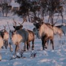 (주)세보에너지 이미지