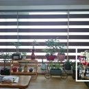 다이노스 율하점 이미지