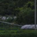 신양2리경로당 이미지