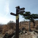 밀레군산영동점