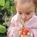 봄이네 농장 이미지