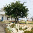 두리민박 이미지