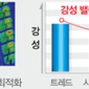 타이어세일즈 고현점 이미지