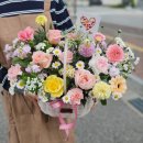 중앙동147 이미지