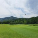 포도모텔 네이버블로그