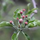 눈비산마을 공동체농장 이미지