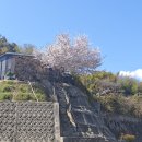 백옥농장 | 히로시마 로컬가스트로노미 아카이 AKAI