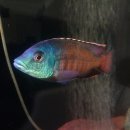 임프레스 이미지