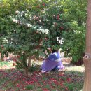 낙동제방길-1 이미지