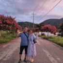 백암테니스장 이미지