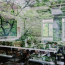 부산화교소학교 이미지