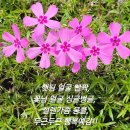 행복예감 이미지