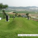 신영철묘갈 이미지