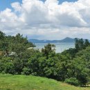 약산 흑염소 이미지