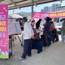 곡성-242 이미지