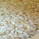 건강한죽 이미지