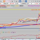 (주)현대에프앤씨 이미지