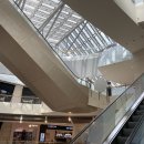 주식회사 아이에프씨몰테이스팅 | 테이스팅룸 IFC몰점 예약 / 가는 길 / 전복 솥밥 리조또, 시금치 플랫브래드 솔직 후기