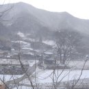 윤일농장 네이버블로그