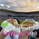 대구 삼성라이온즈파크(라팍) 직관 외야지정석 RF-10구역 7열 가격 및 시야 후기