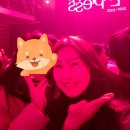 태광체육관 | 2024 자우림 연말 콘서트 첫단콘 후기(+장충체육관 맛집 태극당 및 주차할인꿀팁)