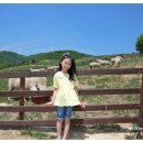 서아목장 이미지