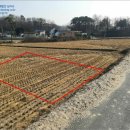 단월보건진료소 이미지