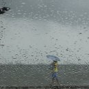 도리1천 이미지