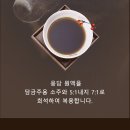 웅담 티스토리