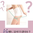 도연에스테틱
