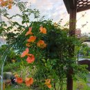 금수강산환경 | 전주 익산 군산 환경교육 업사이클링 자격증과정운영 풍남중 환경교육