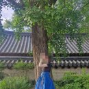[혼자여행] 야행은 거들뿐, 전주여행 리턴즈