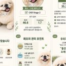 네추럴레매디