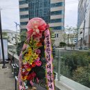 멍뭉한입 이미지