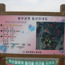 봉무공원 만보산책로 이미지
