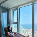 미니스톱 남천뉴비치점 | 부산 벚꽃 명소 남천동 삼익비치 벚꽃길