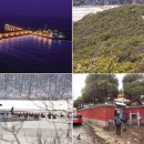 비둘기한국@ 이미지